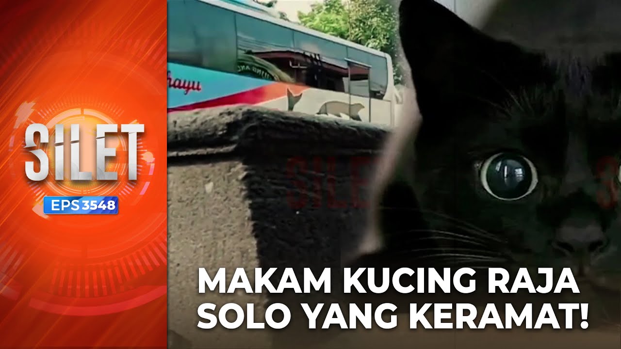 PECINTA KUCING! Wajib Tau, Ada Makam Kucing Peliharaan Keraton Solo | SILET