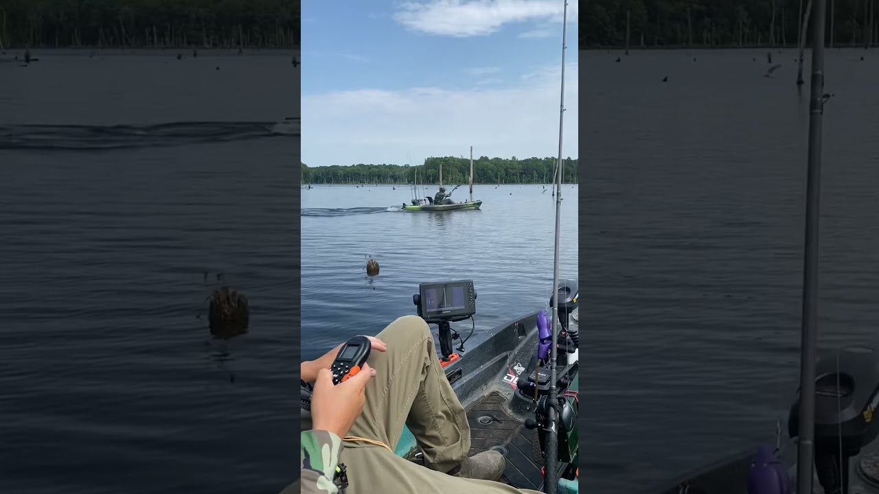Paddle kayak vs. motorized kayak!