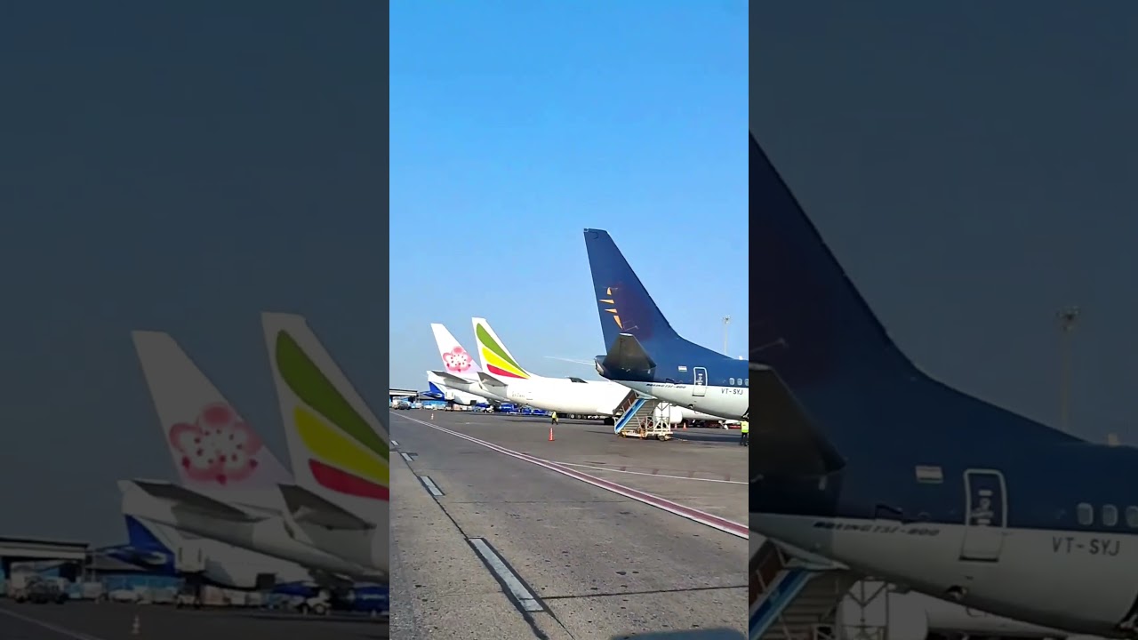love song 🎵 &hearts;️ ye bla kon hai #song #youtubeshorts #viralvideo #trending #travel #flight✈️ #views