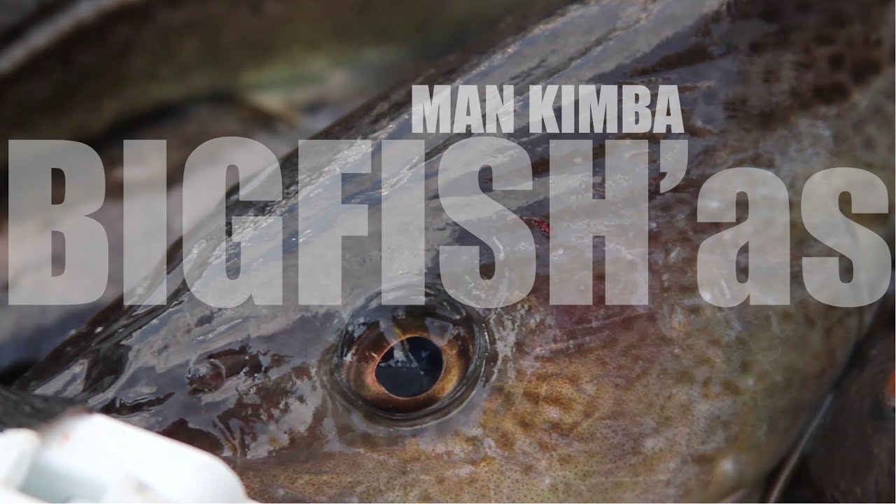MAN KIMBA - BIG FISH'as ir pavasario menkė džigu