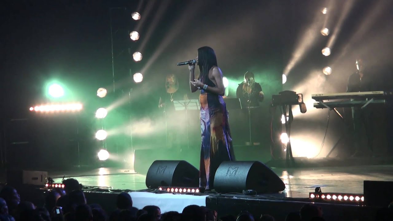 REAL LIMIT AU ZENITH DE PARIS 2010 HD 8 (Leila Chicot)