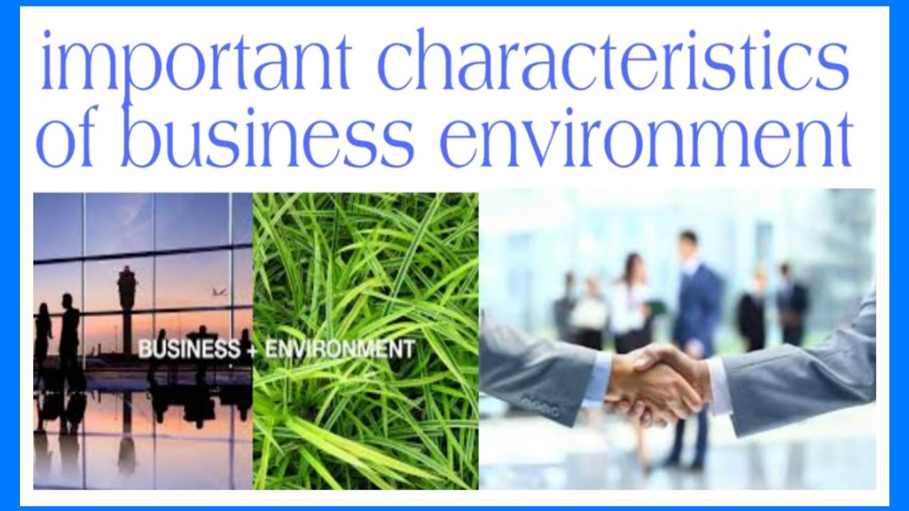 #business_environment #characteristics_environment #business characteristics of business environment