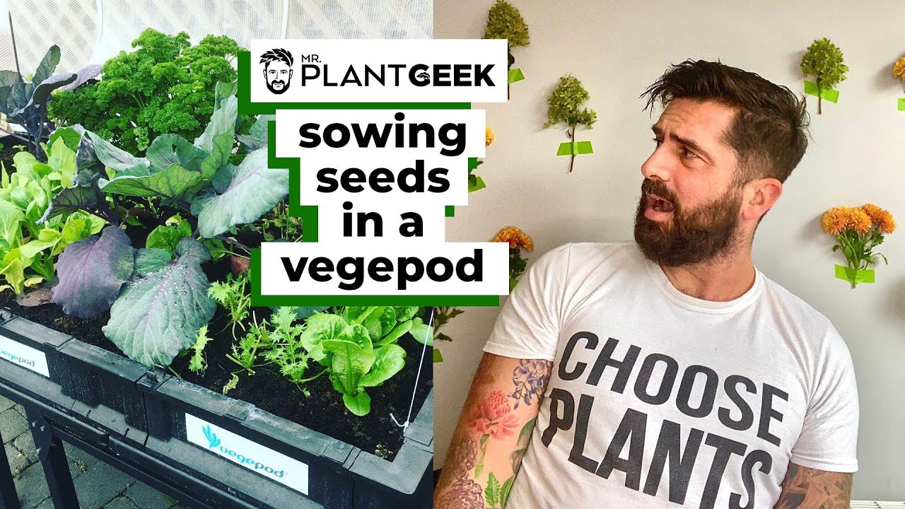 Sowing Seeds In A Vegepod | Mr Plant Geek