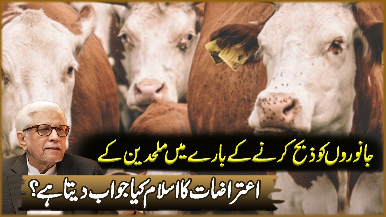 Janwaron Ko Zibah Karna Ka Bara Ma | Javed Ahmad Ghamdi | Deen O Dunya