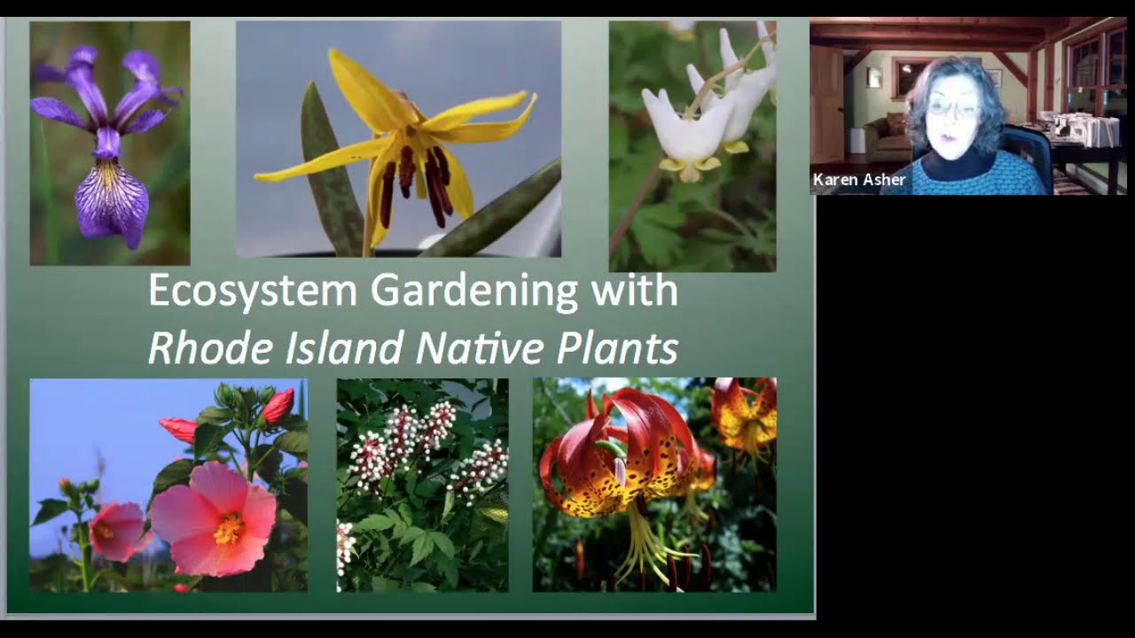 Gardening with RI Native Plants