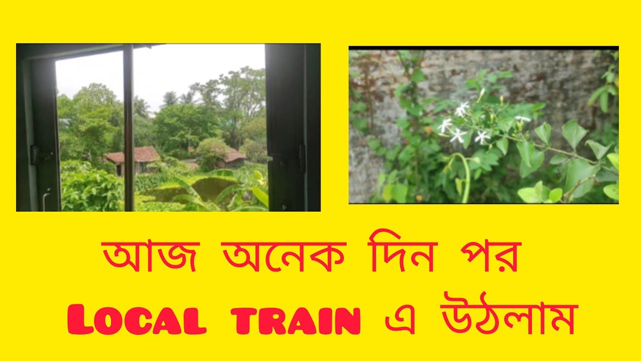অনেক দিন পর local train এ উঠলাম || VLOG || SMART MISHTU