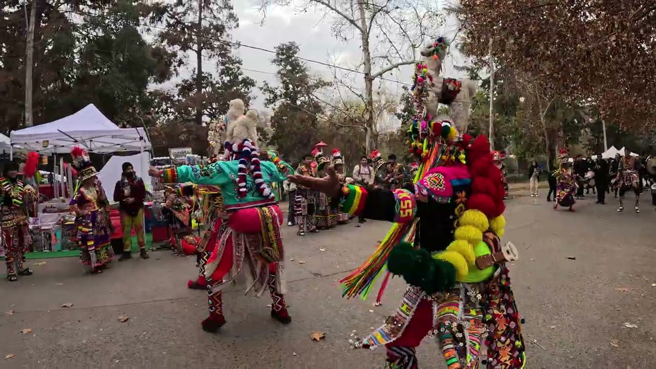 TINKUS SAN SIMÓN FILIAL SANTIAGO - WILLKA KUTI 2025 🇧🇴🇨🇱⭐ 