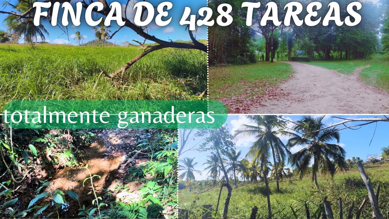 Hermosa Finca Ganadera en Bayaguana - monte plata - RD..