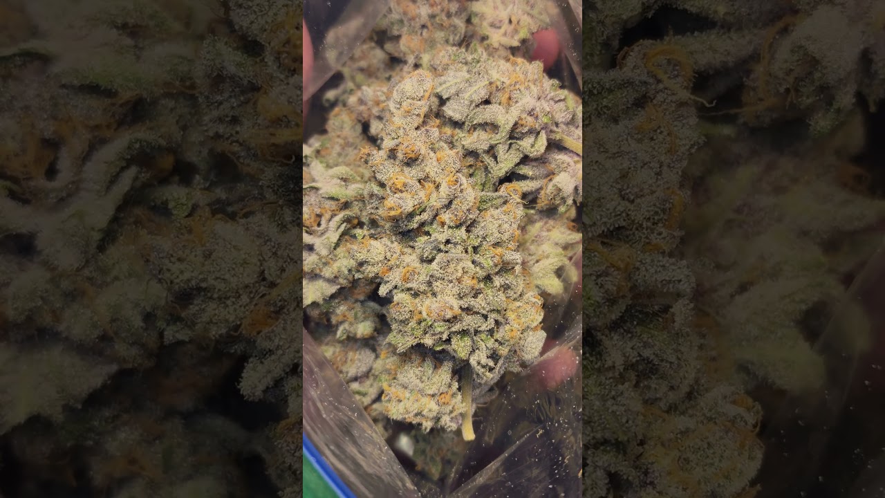 Superboof strain instagram @transcendent420