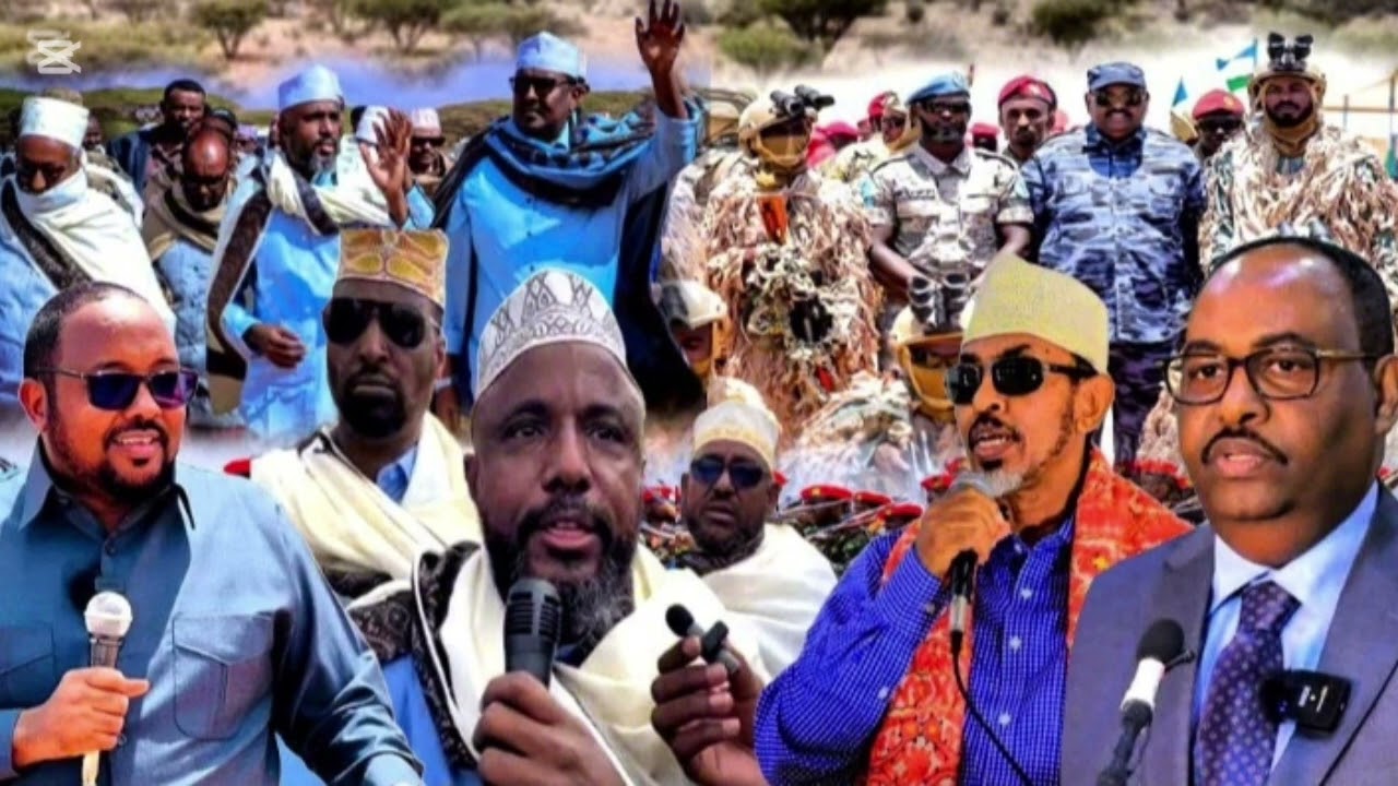 Dawo Go'aan Layaab Ley Oo Beesha Dhulbahante ka Soo Saaray Ceerigaabo iyo Sababta Warsangeli Kalig