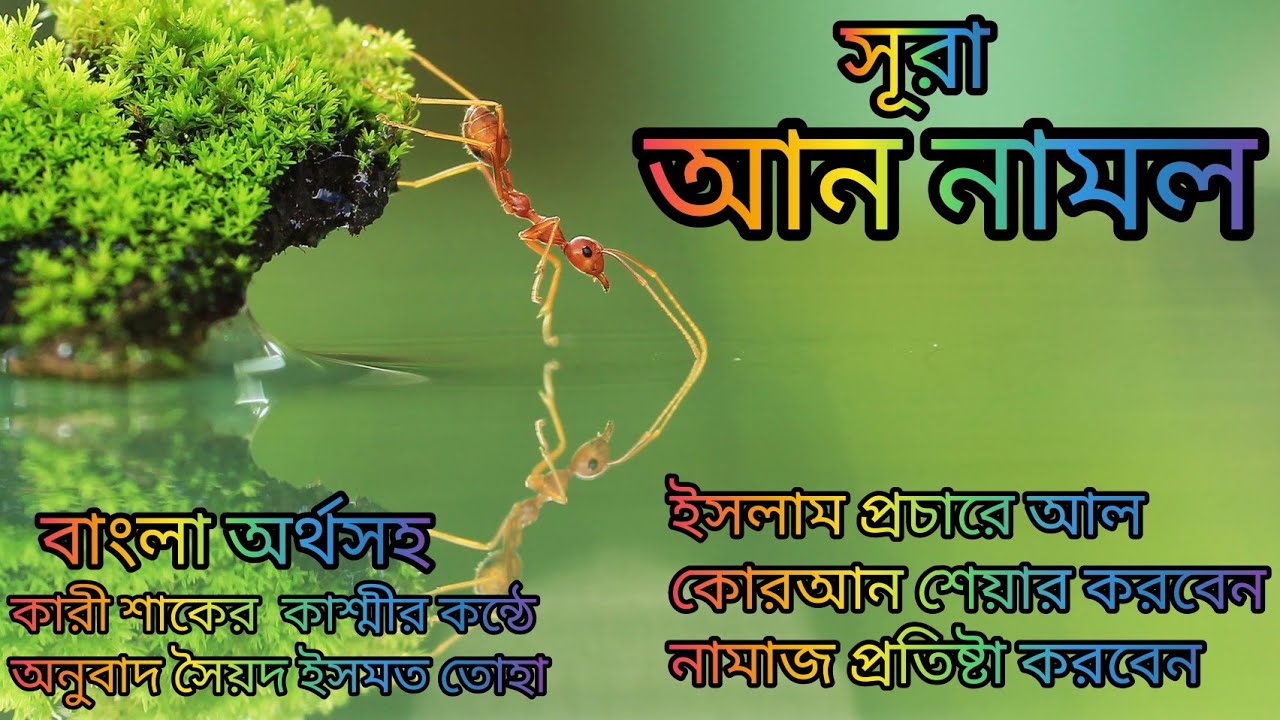 027-সূরা আন নামল-বাংলা অর্থসহ মনমুগ্ধকর কন্ঠে কারী শাকের কাশ্মী অনুবাদ সৈয়দ ইসমত তোহা art alam
