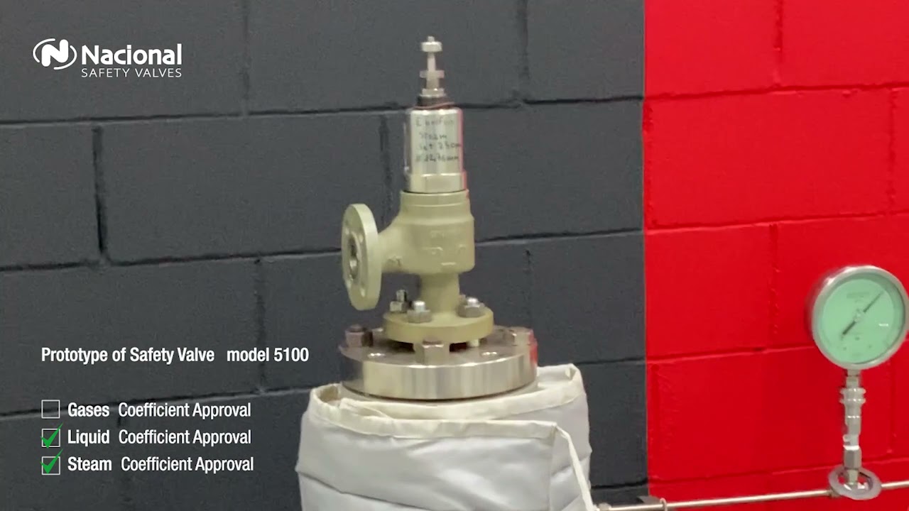 Steam Test Model 5100