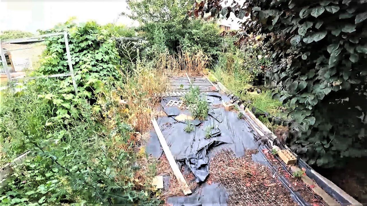 Crazy Old Timers Neglected Garden Restored | You Must See This! (Part 2)