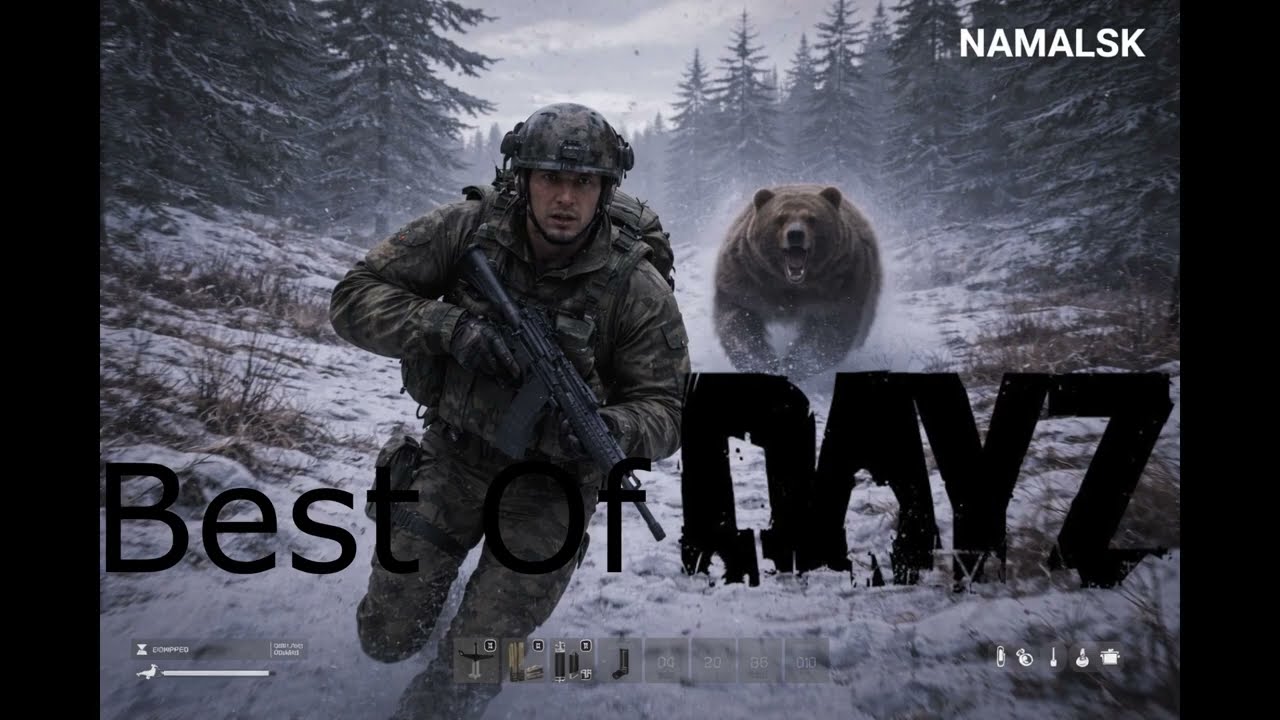 Une pluie d'ours ?! Best of DayZ #1