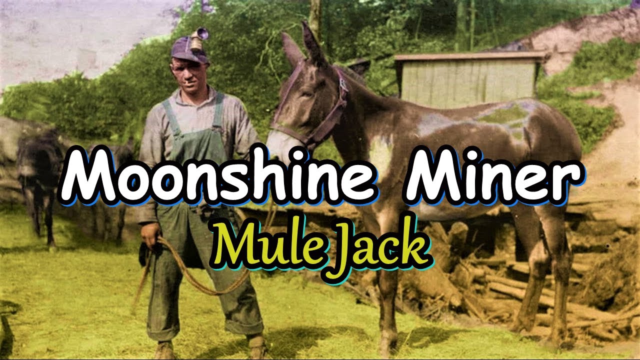 Appalachia Story of the Moonshine Coal Miner Mule Jack