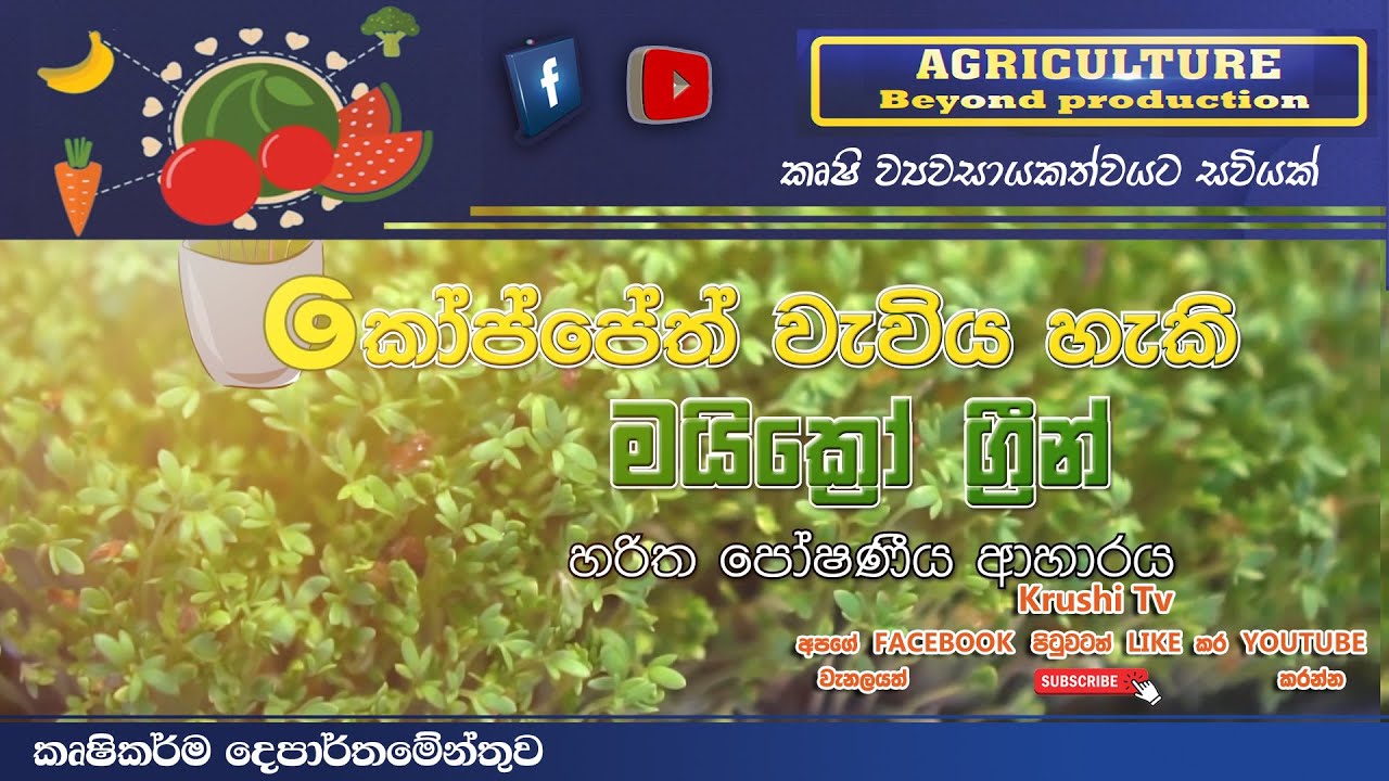 Agriculture Beyond Production TV Program | හරිත පෝෂණිය ආහාර | 2022-11-20 | Krushi Tv