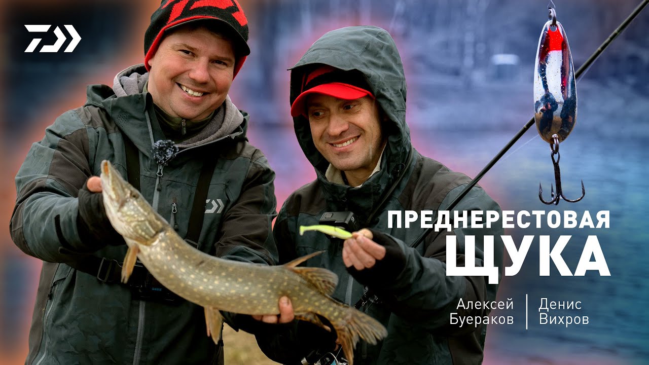 DAIWA CRUSADER GEKIATSU - КОМПАКТНАЯ И ТЯЖЕЛАЯ. Алексей Буераков x Денис Вихров