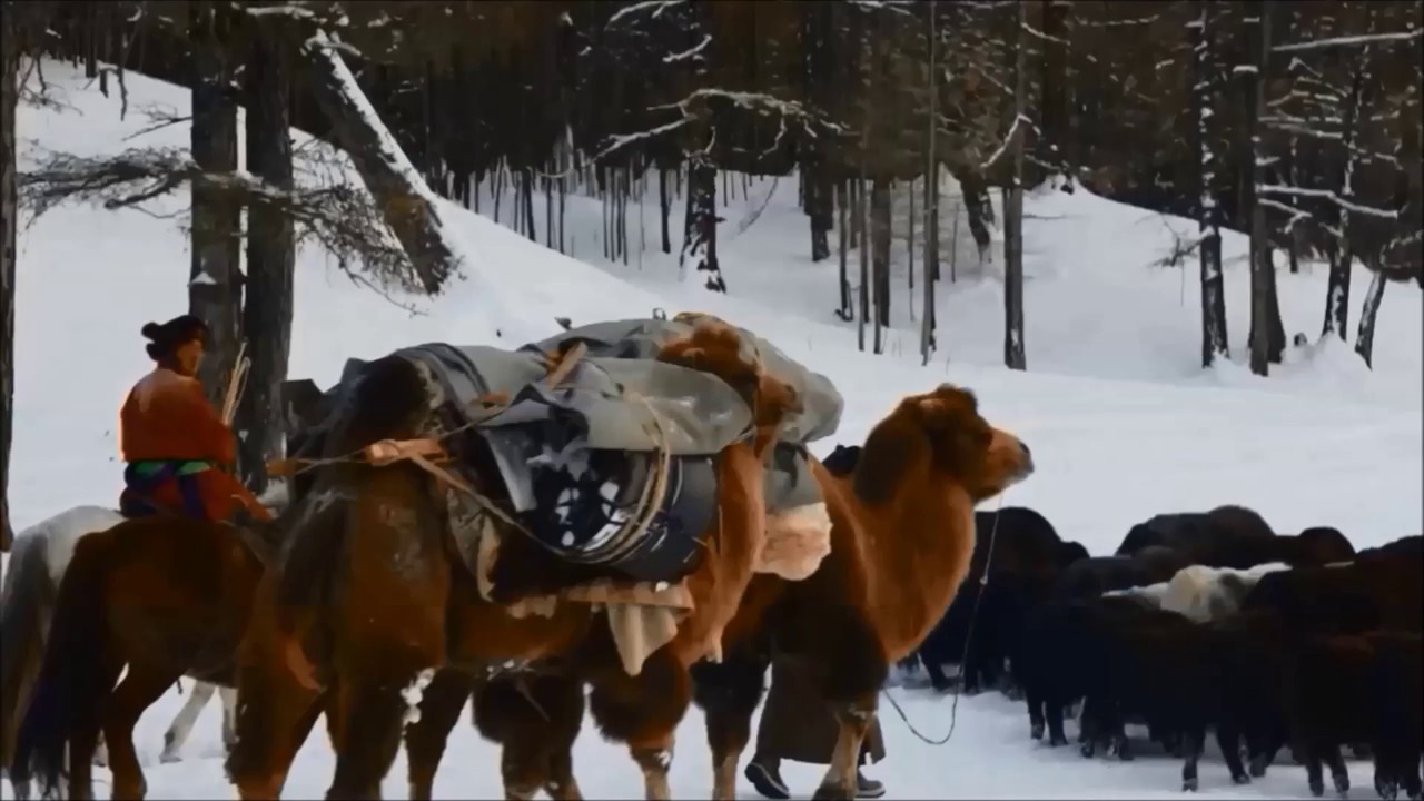 Emergency Relief for Nomadic Herders