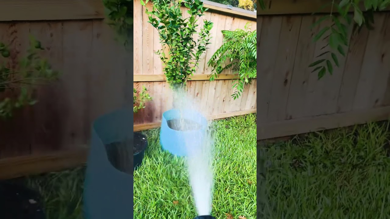 My garden# morning routine # good morning# USA