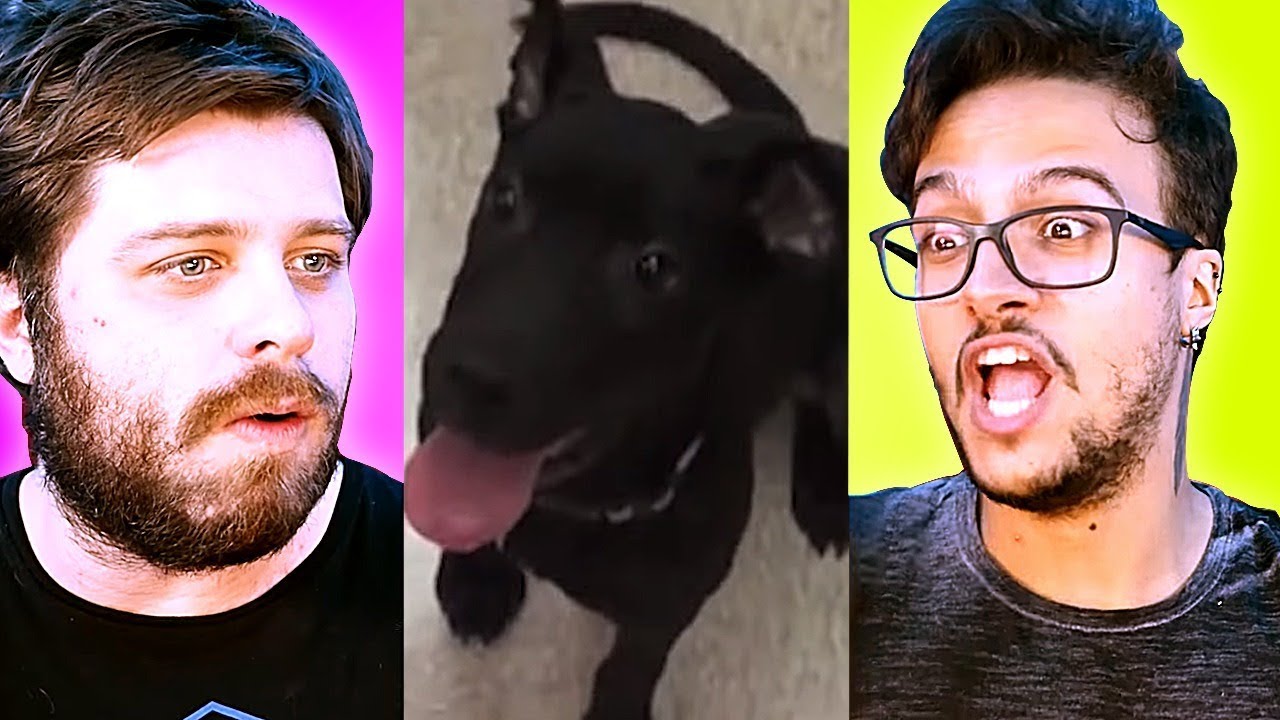 TAVA MUITO FOFO ATÉ QUE... || Desafio 50/50 #7 ft. Dino