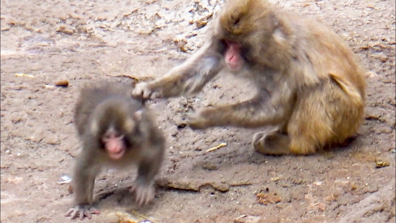 Punch got shoved&hellip; his next move showed he&rsquo;s grown
