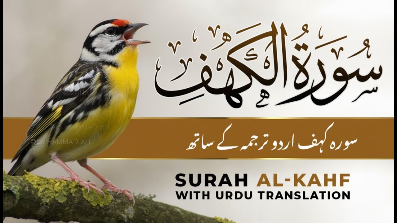 Surah Kahf | Quran Tilawat with Urdu & Hindi Tarjuma | Heart Soothing Recitation (Surah Al-Kahf)