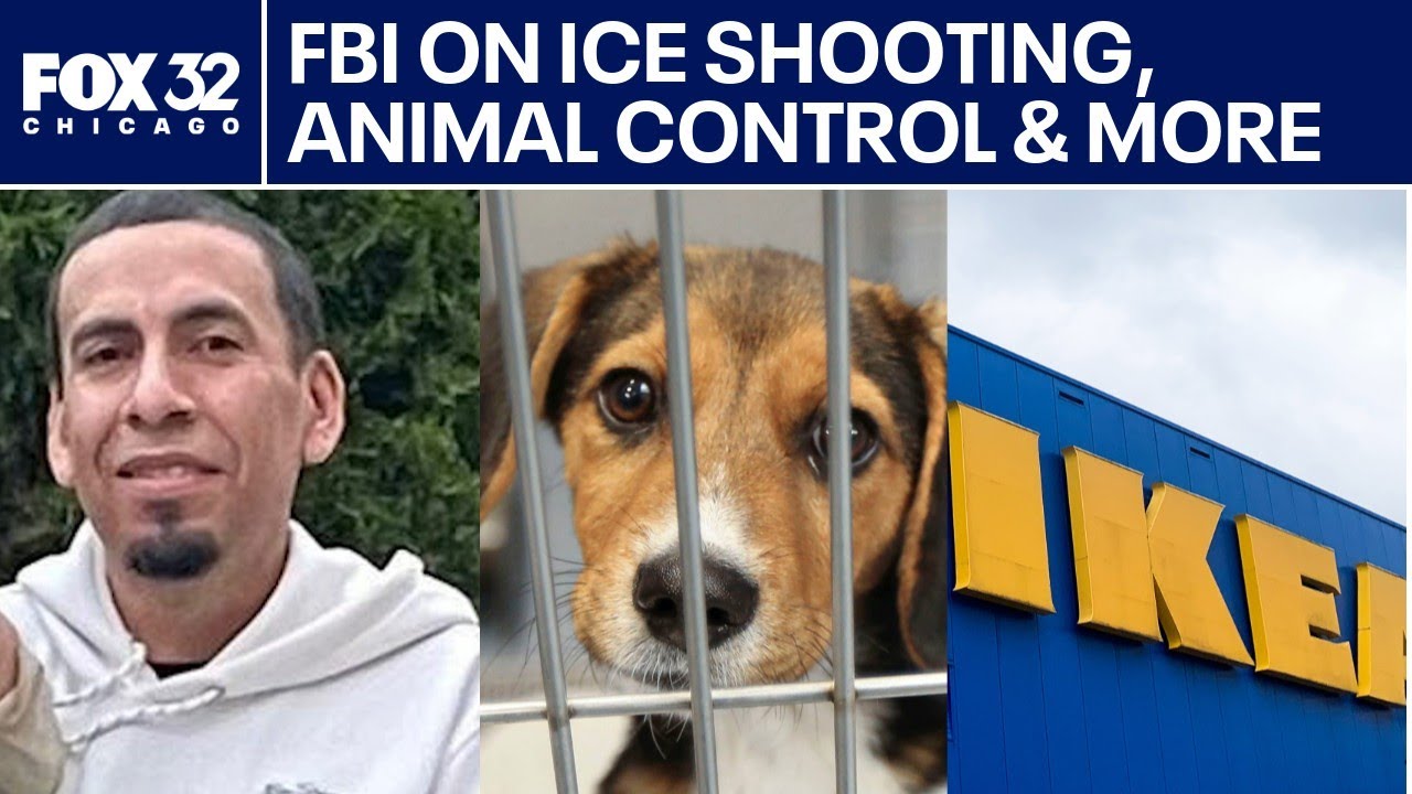 ICE shooting update, animal shelter leadership change & Gurnee mayor on IKEA | ChicagoLIVE