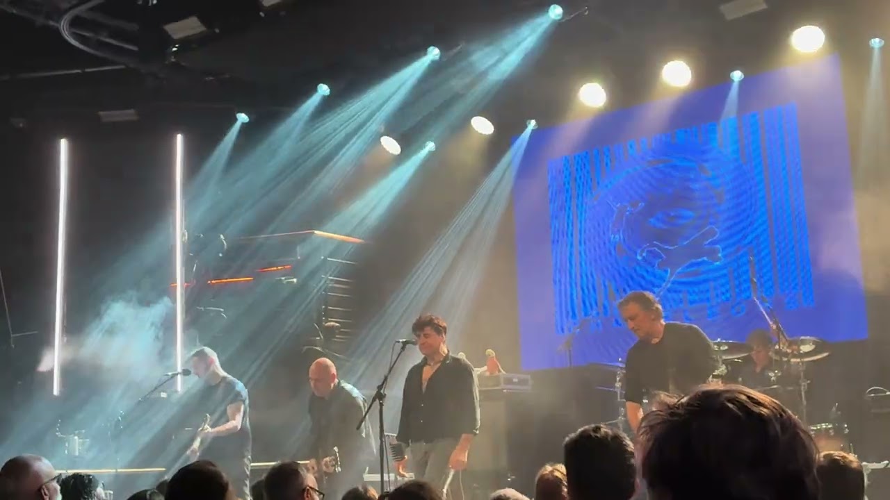 The Chameleons 