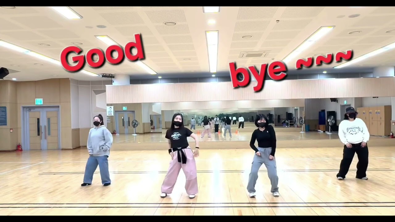 [잔망이X쪼라기들]제3탄!!! HWASA(화사)_Goodgoodbye | 우아할거야~굿굿바이~