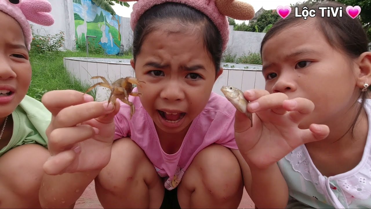 Catching Crab in Land on a Stormy Day | Bắt Cua Trên Vườn Ngày Mưa Bão | Lộc TiVi