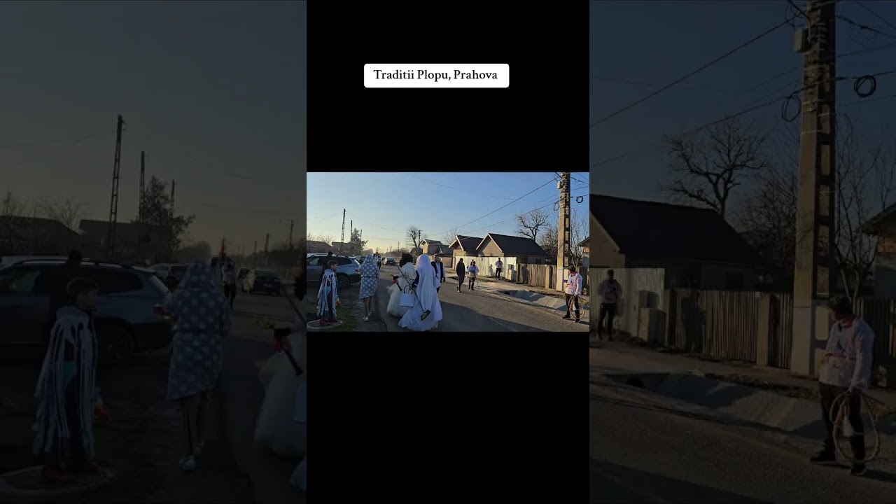 Plugu mare Comuna Plopu, Prahova 2024_2025