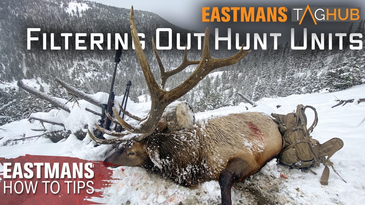 Find Your Perfect Hunt | How to Filter Hunt Areas in Eastmans' TagHub