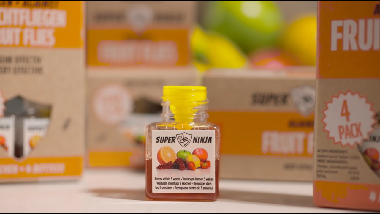 Super Ninja Fruit Fly Trap Instructional Video
