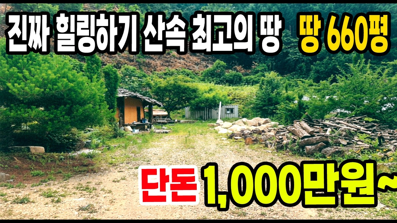 🔥 660평이 1천만 원대? 전기·도로·물까지 완벽한 ‘진짜 자연인 땅’ 공개!
