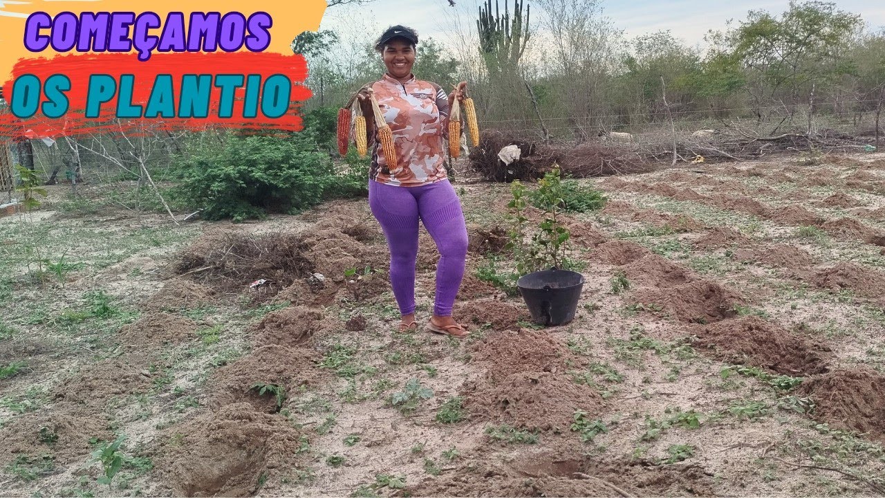 Muita chuva aqui no s&iacute;tio, j&aacute; come&ccedil;amos os plantio a casinha n&atilde;o suportou as chuvas