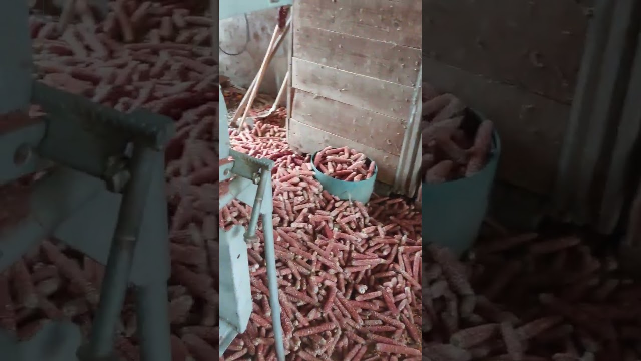 kukorica morzsoló (tengeri fejtö)nagy hatasfokal bíró 😀