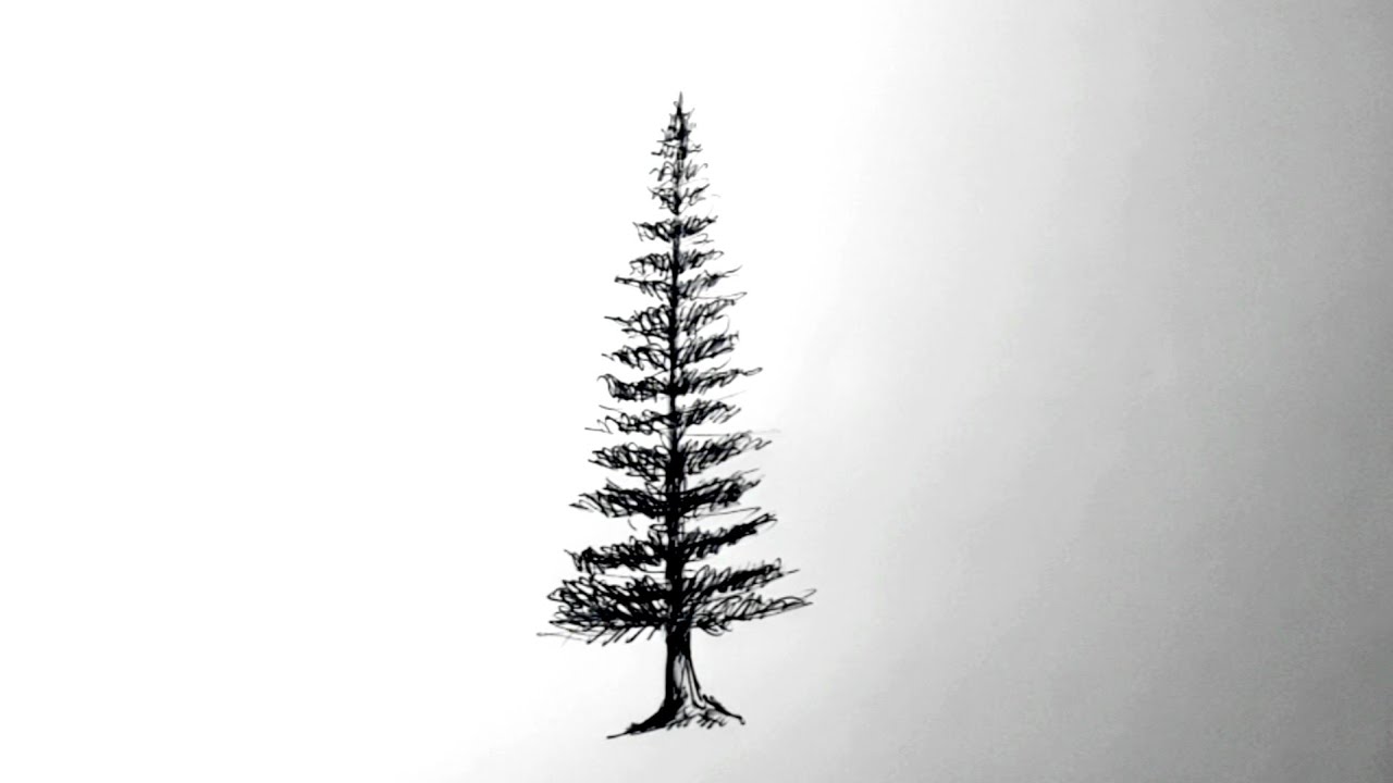 How to Draw a Tree | Realistic Pine | How to draw a pine tree