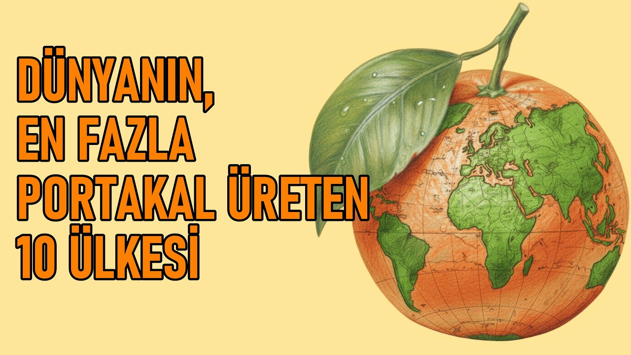 Dünyanın En Fazla Portakal Üreten 10 Ülkesi! Türkiye Kaçıncı? 2026