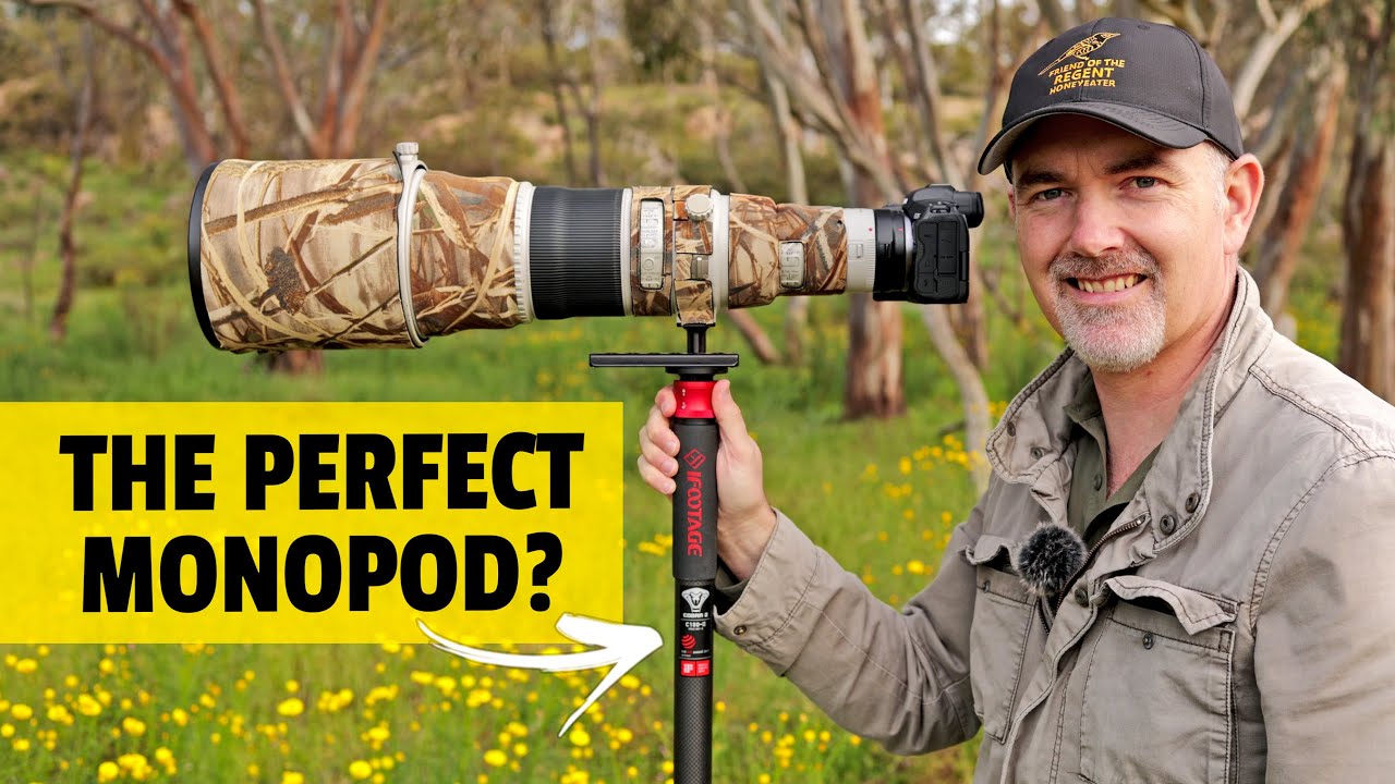 Monopod for WILDLIFE Photography? iFootage Cobra 2 C180 II Field Review.