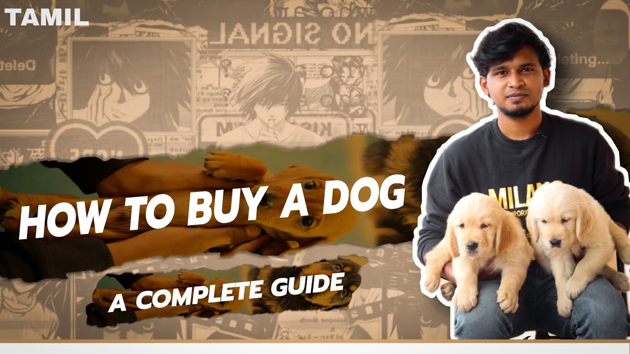 How To Select A Good Quality Puppy || Terms & Conditions || Cell Focus