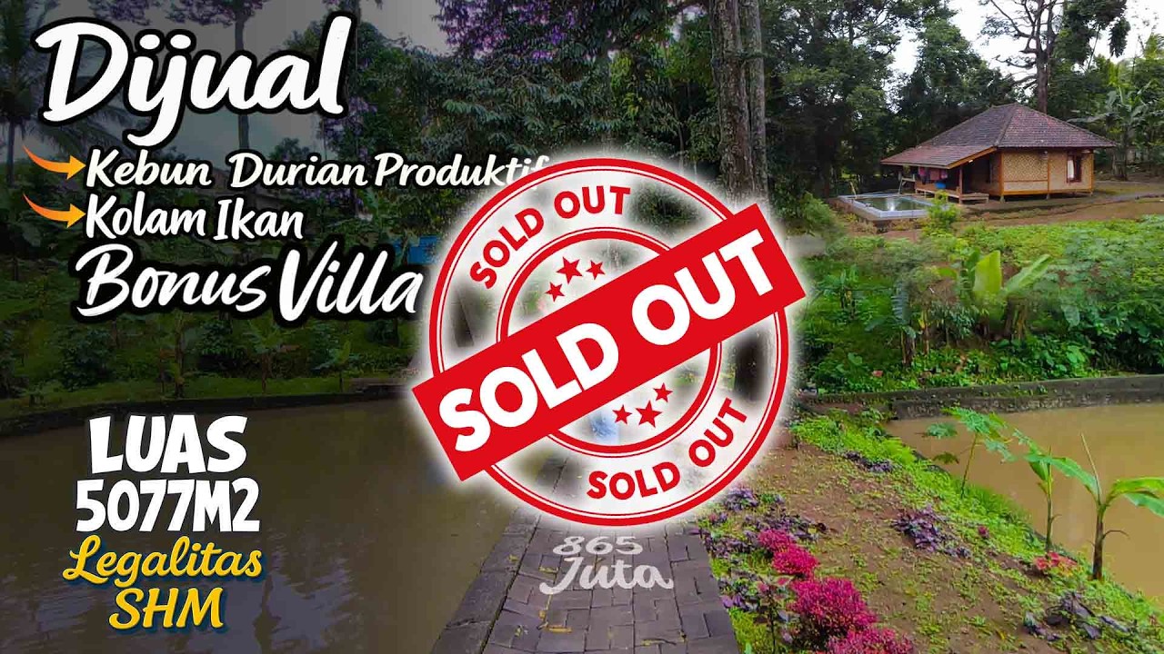 Dijual Villa Durian Produktif dan Kolam ikan LT 5077M2  📌Mandalawangi Pandeglang Banten