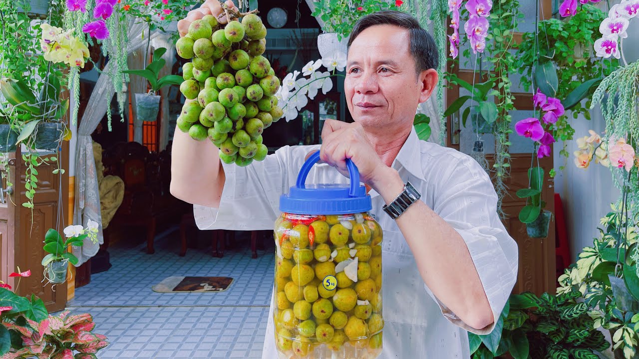 Quả Sung Và Những Công Dụng Thần Kỳ Chữa Được Rất Nhiều Bệnh