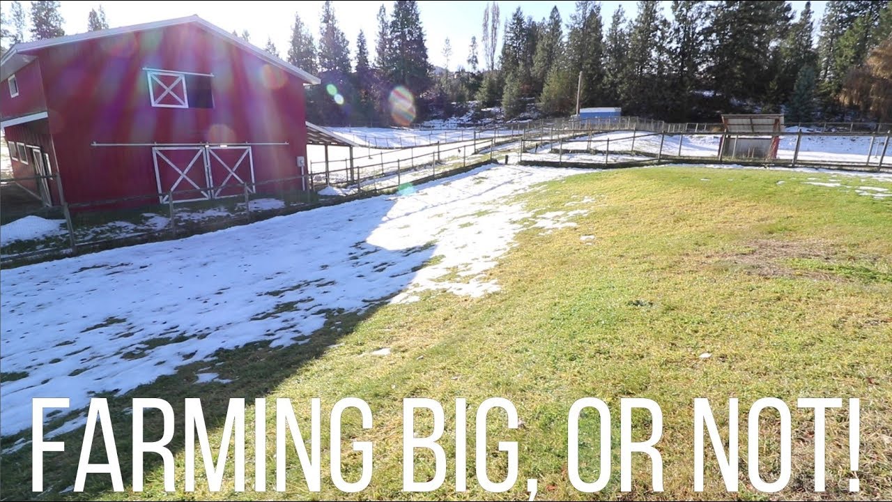 Farming Big or Not
