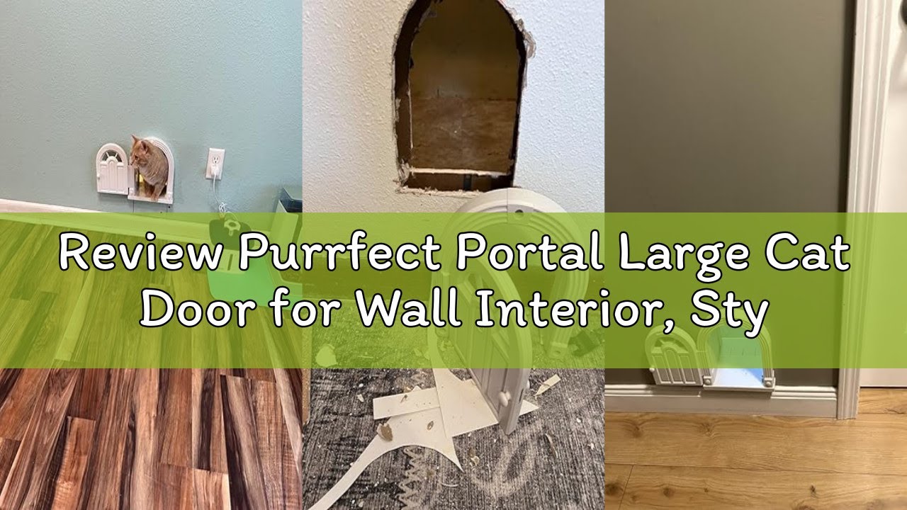 Review Purrfect Portal Large Cat Door for Wall Interior, Stylish & Functional Pet Door, No Training