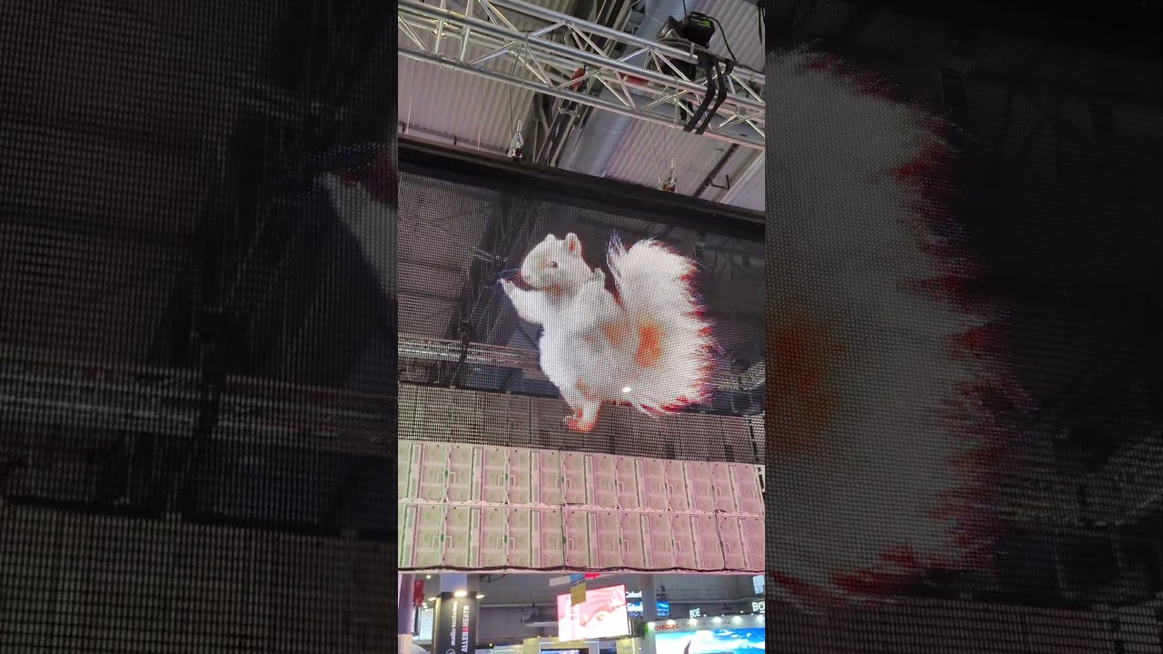 salsa squirrel wins #ise2024 #isebarcelona #hologram