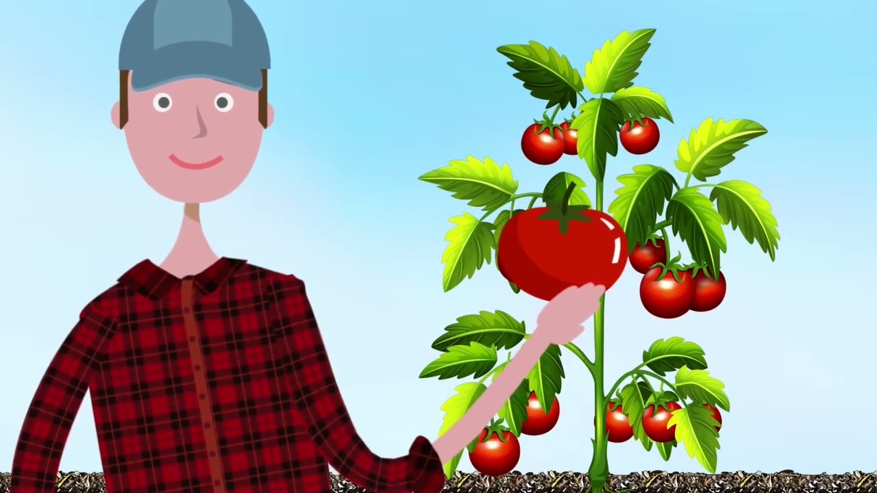De link tussen de nutriëntencyclus en het bodemvoedselweb