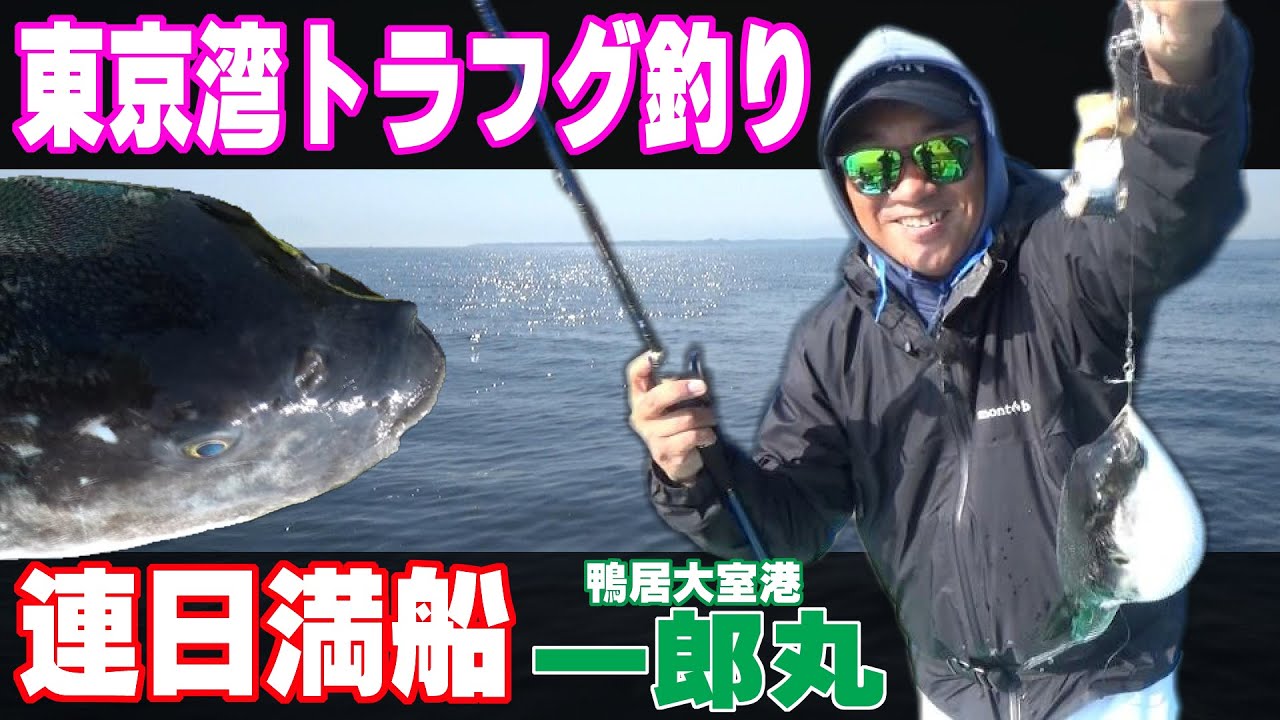 【一郎丸】トラフグ釣り　東京湾