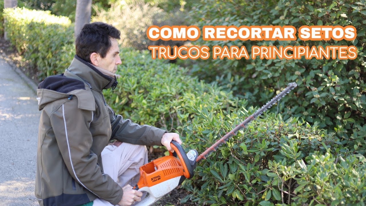 Como RECORTAR un SETO con un CORTASETOS paso a paso | Trucos para PRINCIPIANTES