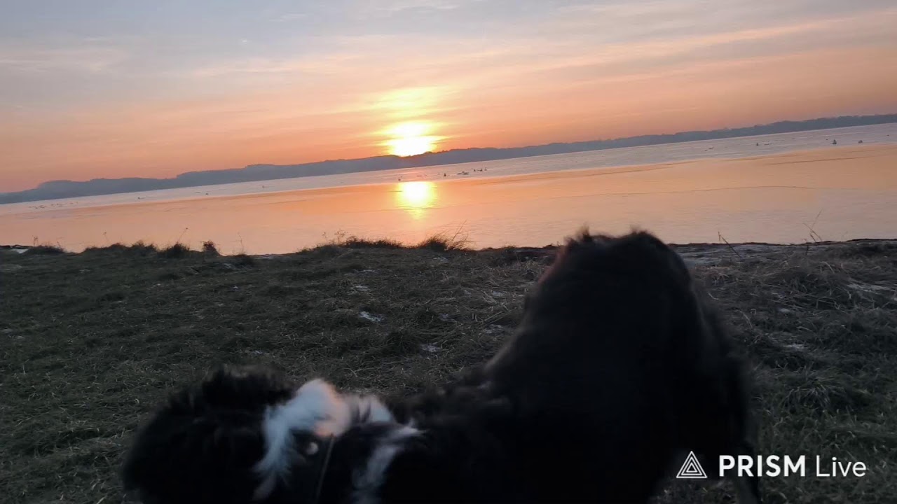 Sunset an der Schleil