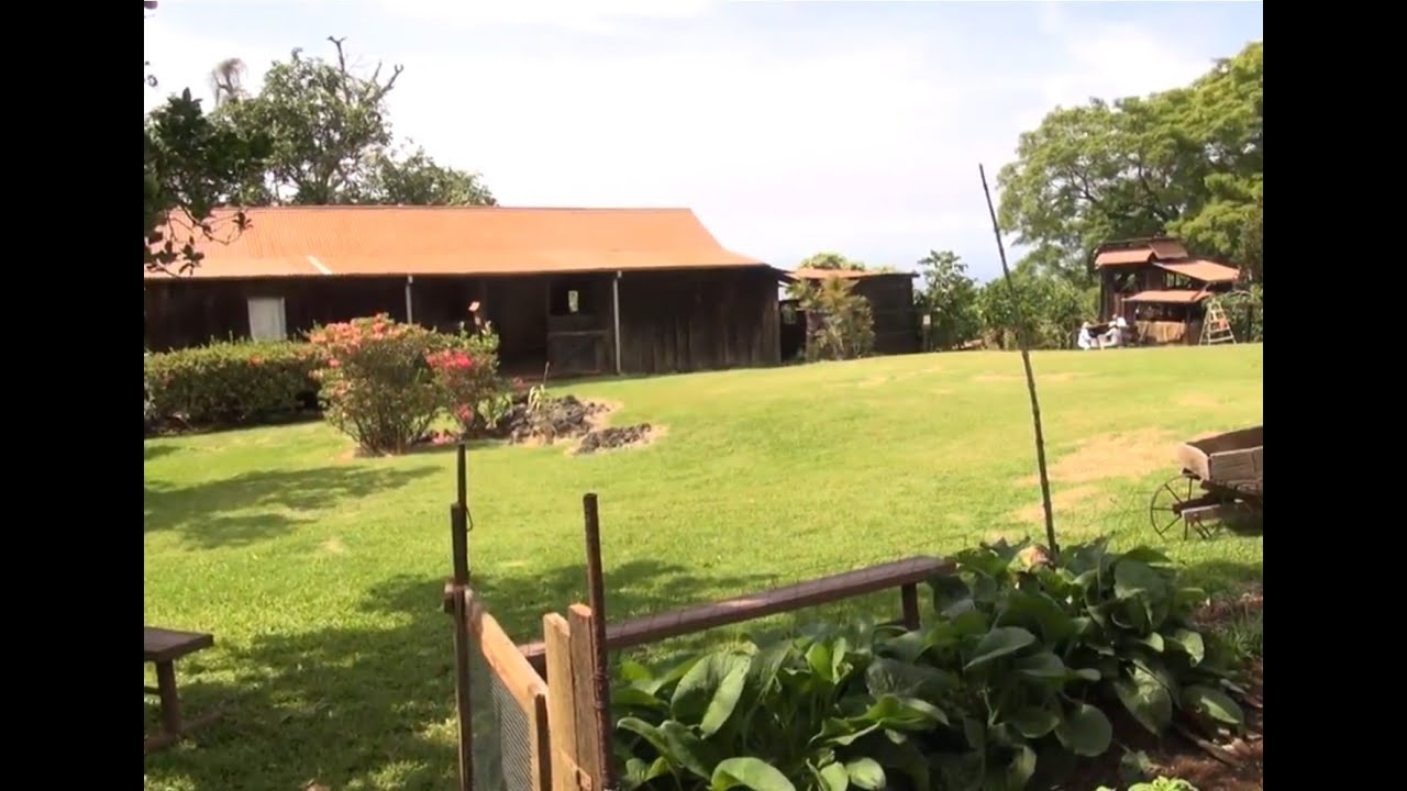 Kona Coffee Living History Farm